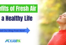 Benefits of Fresh Air for a Healthy Life