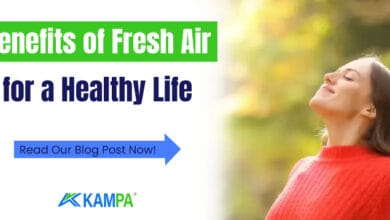 Benefits of Fresh Air for a Healthy Life