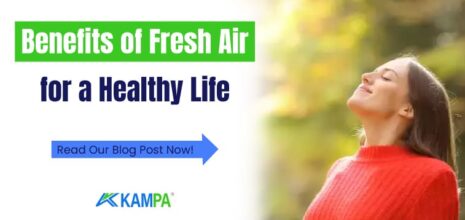 Benefits of Fresh Air for a Healthy Life