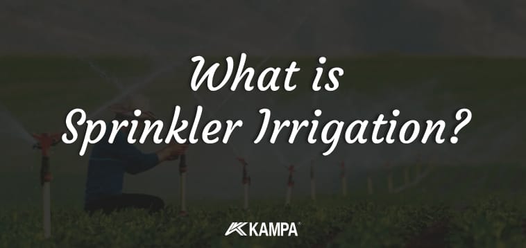 what is sprinkler irrigation