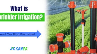 what is sprinkler irrigation