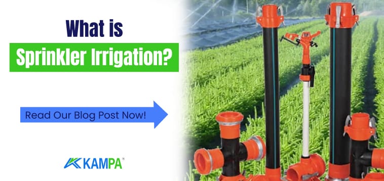 what is sprinkler irrigation