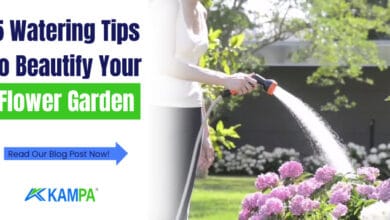 Beautify Your Flower Garden