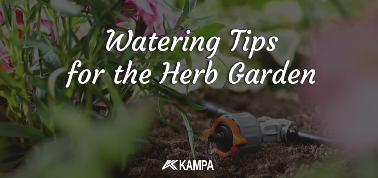 Watering Tips for the Herb Garden