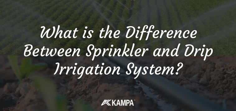 drip irrigation