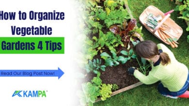 How to Organize Vegetable Gardens 4 Tips