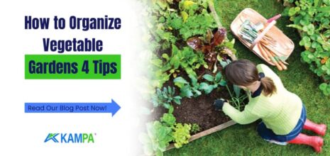 How to Organize Vegetable Gardens 4 Tips