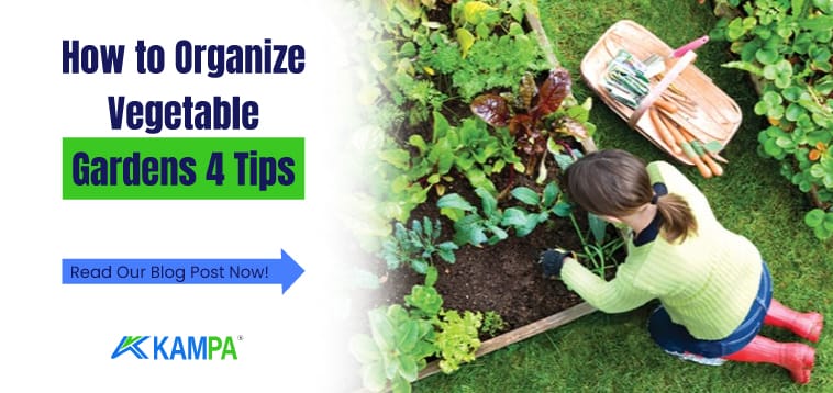 How to Organize Vegetable Gardens 4 Tips