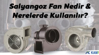 Salyangoz fan nedir