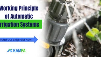 Working Principle of Automatic Irrigation Systems