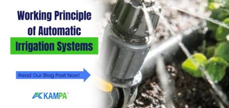 Working Principle of Automatic Irrigation Systems