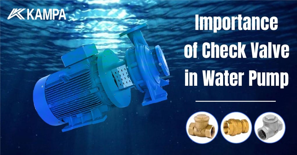 Importance of check valve