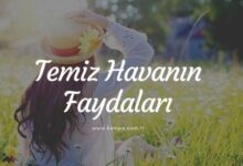 temiz havanın faydaları