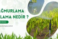 Yağmurlama sulama nedir