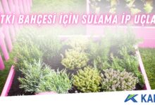 Bitki Bahçesi İçin Sulama İp Uçları