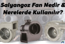 Salyangoz fan nedir