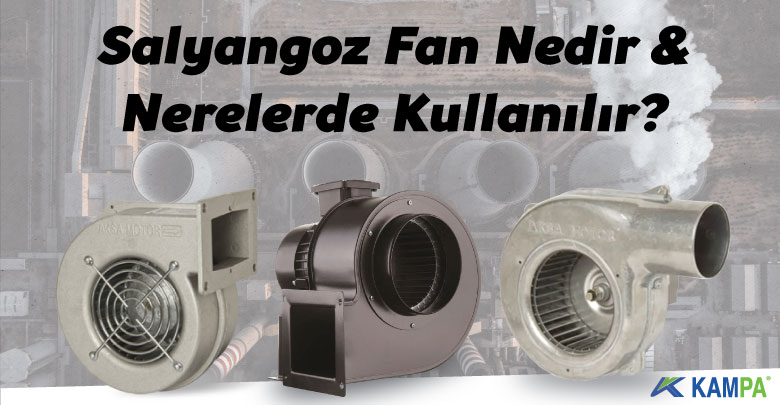 Salyangoz fan nedir