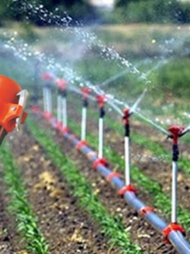 Suyumuz Değerli